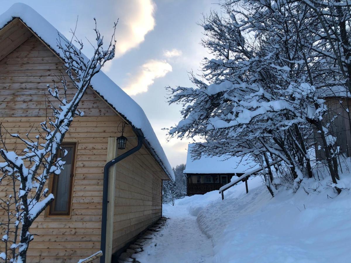 La Noi La Munte Villa Matisesti Buitenkant foto