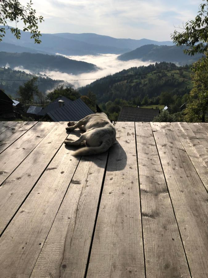 La Noi La Munte Villa Matisesti Buitenkant foto