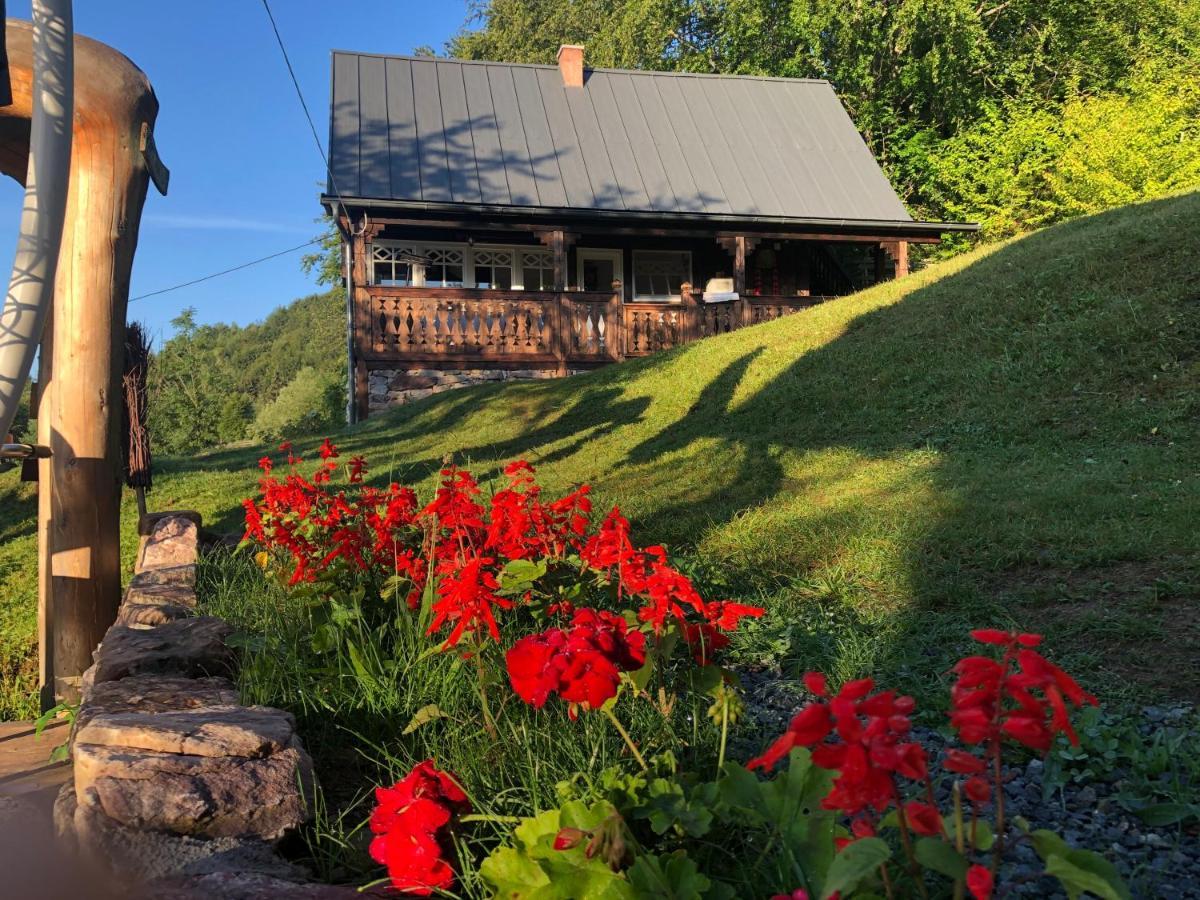 La Noi La Munte Villa Matisesti Buitenkant foto