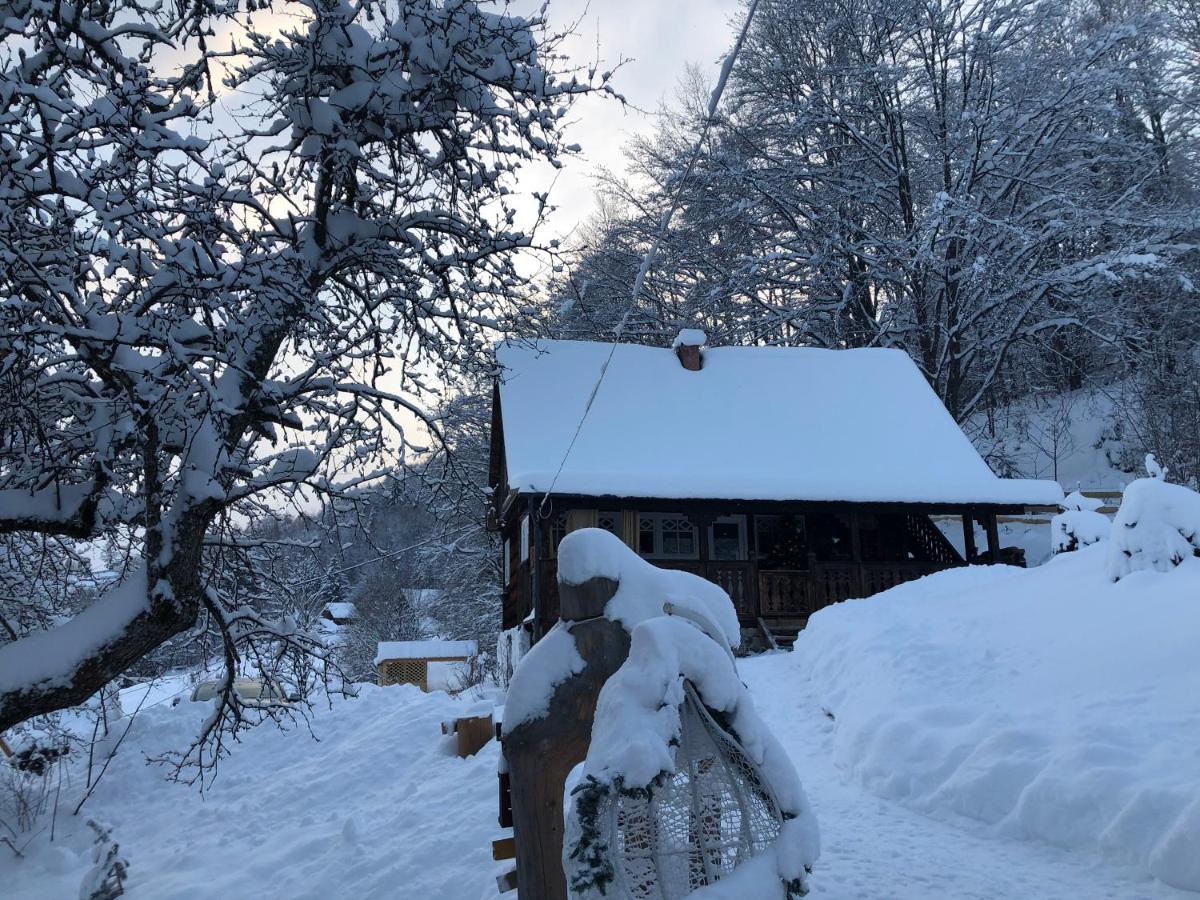La Noi La Munte Villa Matisesti Buitenkant foto