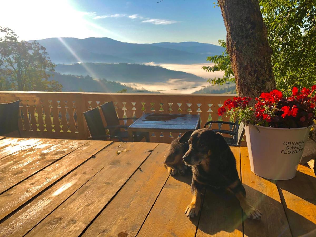 La Noi La Munte Villa Matisesti Buitenkant foto