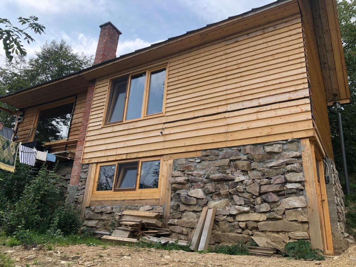 La Noi La Munte Villa Matisesti Buitenkant foto