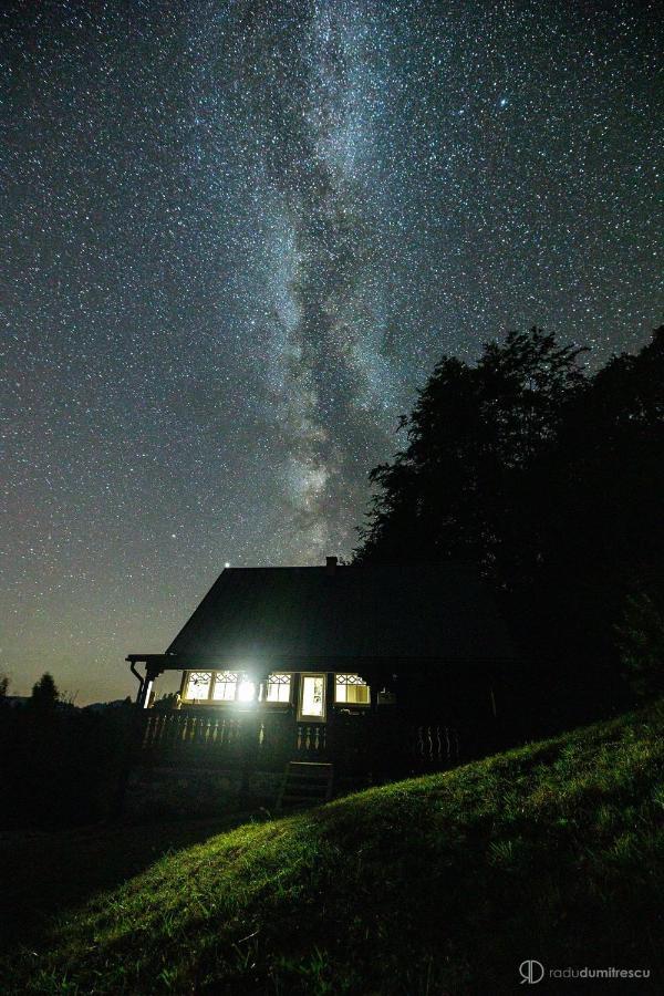 La Noi La Munte Villa Matisesti Buitenkant foto