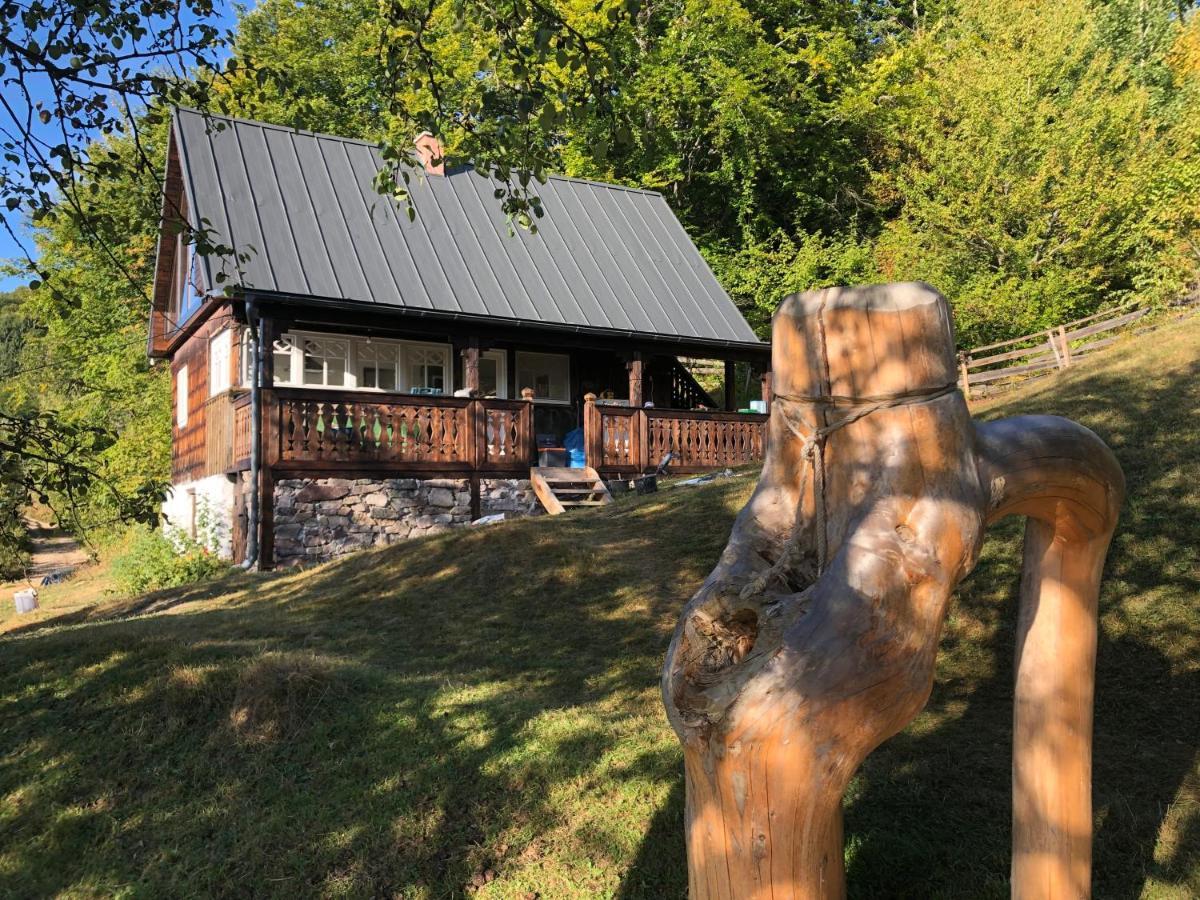 La Noi La Munte Villa Matisesti Buitenkant foto