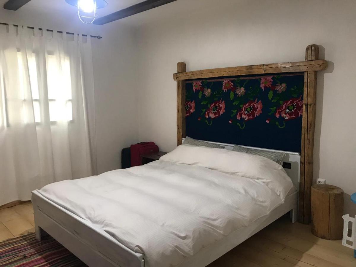 La Noi La Munte Villa Matisesti Buitenkant foto